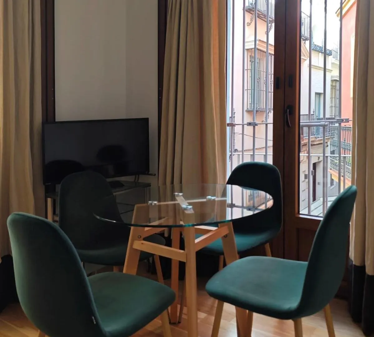 Luxury Apartment Seville Center 0*,