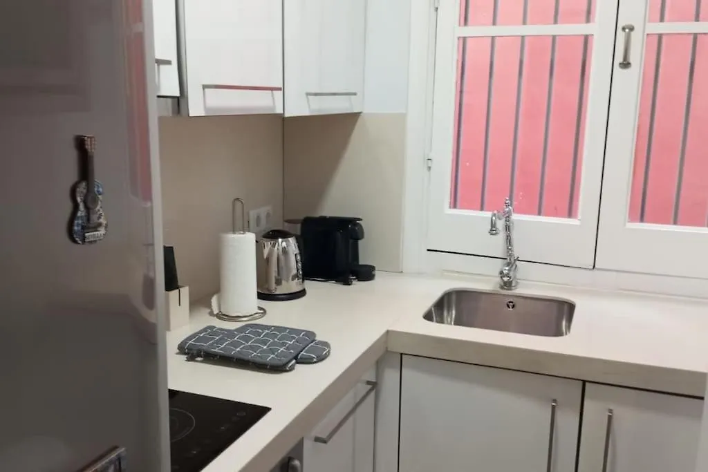 Luxury Apartment Seville Center